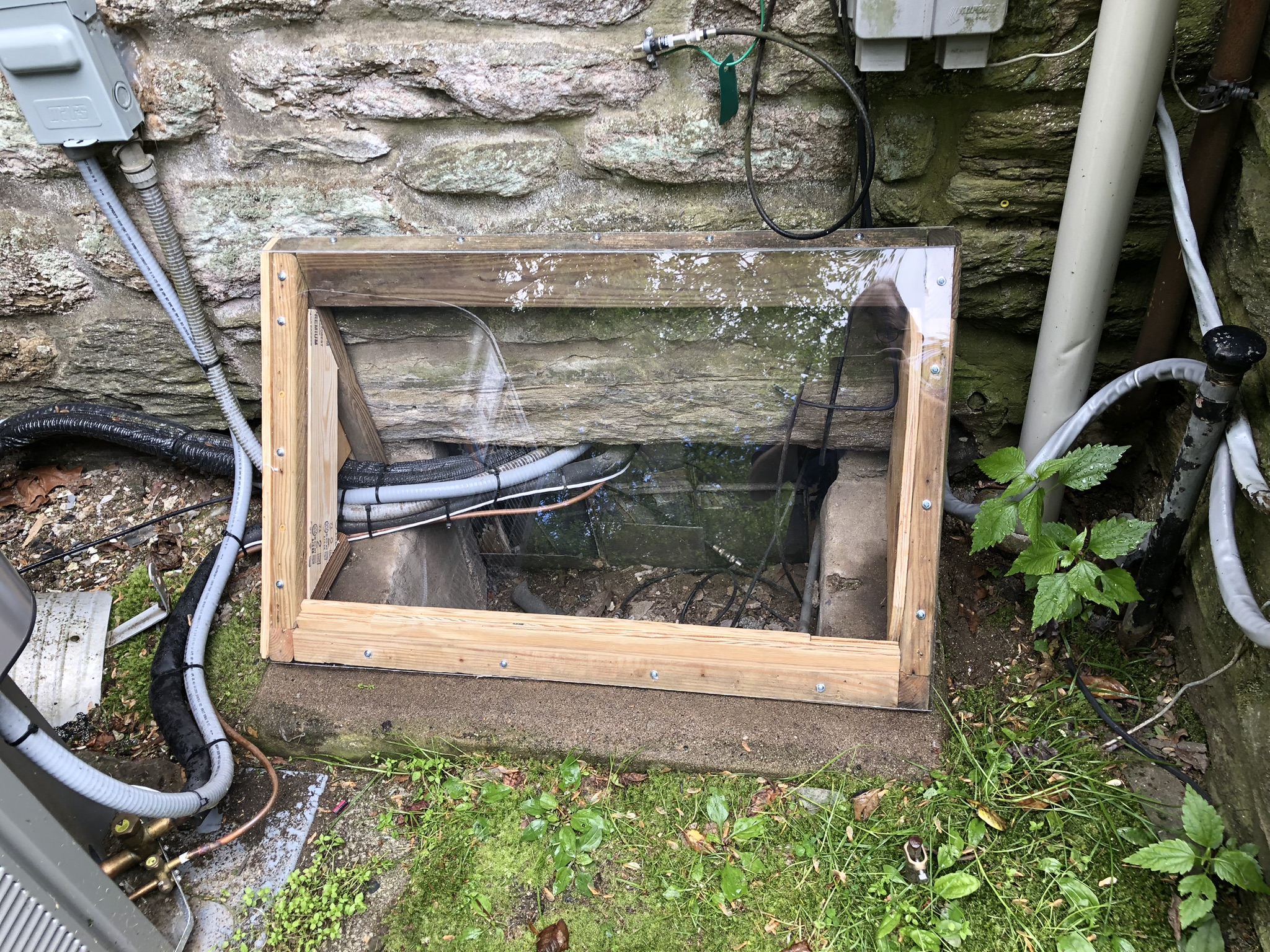 Basement Window Protector Repair